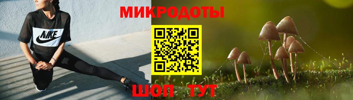 Галлюциногенные грибы Psilocybe Димитровград